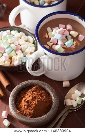 hot chocolate with mini marshmallows cinnamon winter drink