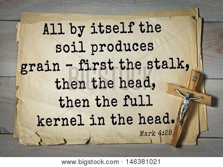  TOP-350. Bible verses from Mark.All by itself the soil produces grain ÃÂ¢?? first the stalk, then the head, then the full kernel in the head.