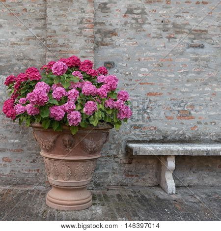 Bouquet Of Colorful Flowers And A Bench In A Garden Italy
