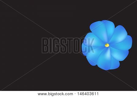 Black background with blue flower in the corner