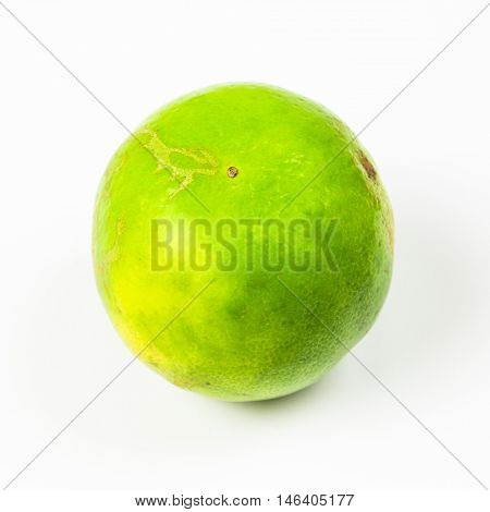 A Green lamon on isolated white background