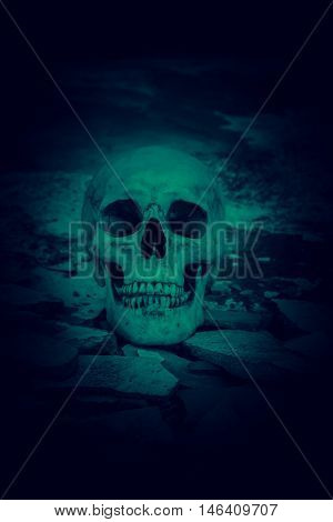 Human skull on ruins place,Horror Background For Halloween Concept And Movie Poster Project
