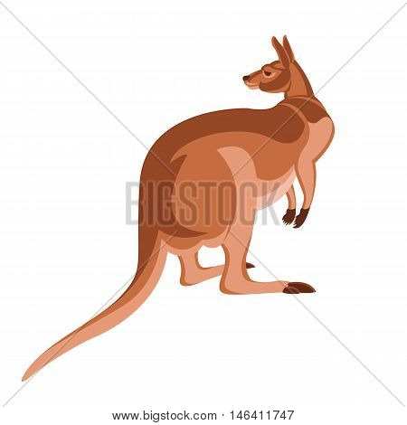 Kangaroo Flat style vector illustration side view