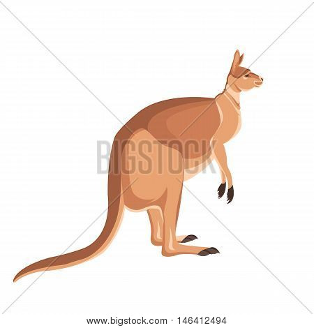 Kangaroo Flat style vector illustration side view