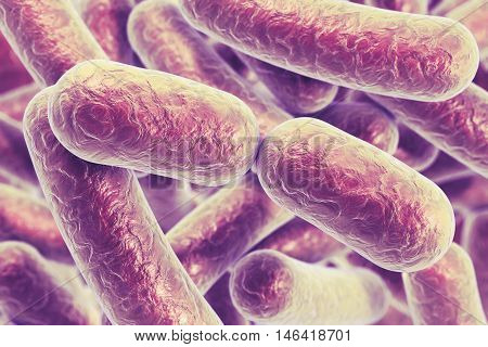 Bacterial infection. Rod-shaped bacteria, close-up view. 3D illustration