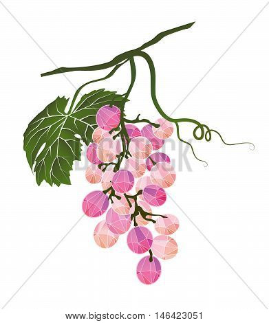Mellow bunch of pink grapes stylized polygonal