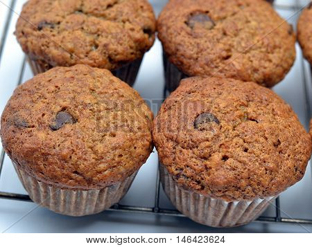 Close-up of Banana Chocolate Chip Muffins; cooling on wire rack