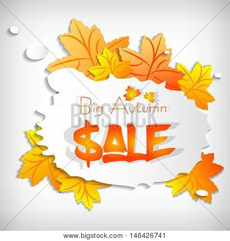 Autumn sale sticker with stylized paper maple leaves and bubble on white background. Vector illustration