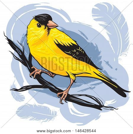 yellow bird with black head sitting on a branch