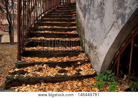 Autumn etude with a ladder in the yard of the old house