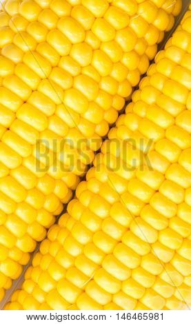 Fresh Corn With Cob