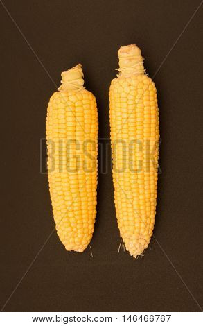 Fresh Corn With Cob