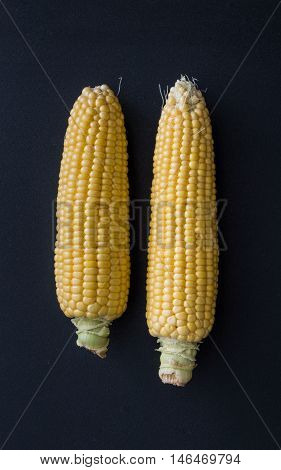 Fresh Corn With Cob