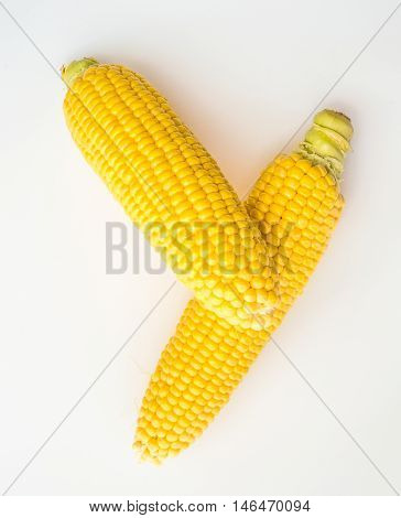 Fresh Corn With Cob