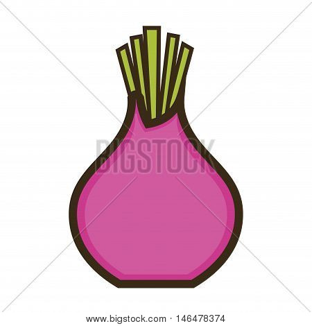 purple beetroot with green leaves. vegetable food. vector illustration
