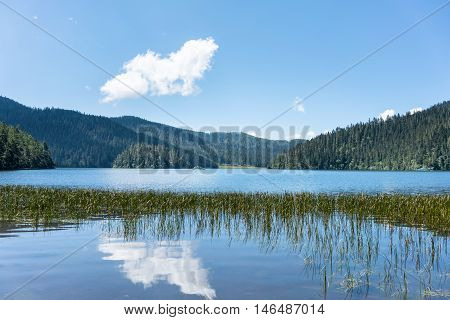 beautiful shudu lake is an alpine lake at an altitude of 3705 meters shangri-la county yunnan provincechina