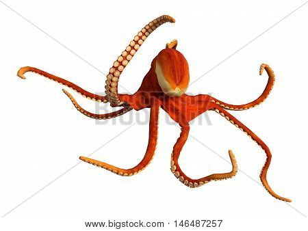 3D rendering of a red octopus isolated on a white background