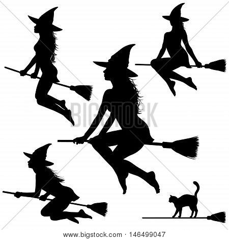Silhouettes of young beautiful witch flying on broomstick. Helloween illustration.