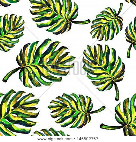 Seamless pattern of leaves monstera. Watercolor sheet