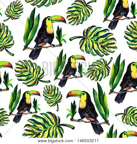 Seamless pattern of leaves monstera and Toucan. Watercolor sheet