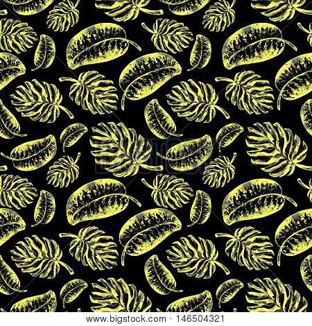 Seamless pattern of leaves monstera. Watercolor sheet