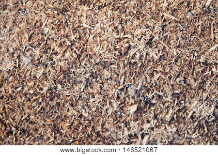 Small Sliver Textured On The Ground Background