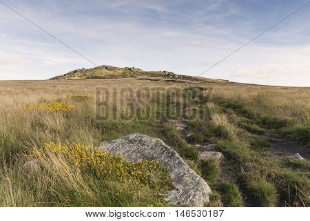 An image showing Rippon Tor situated on Dartmoor National Park Devon England UK