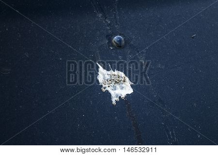 turd emblazoned on the hood of a black car