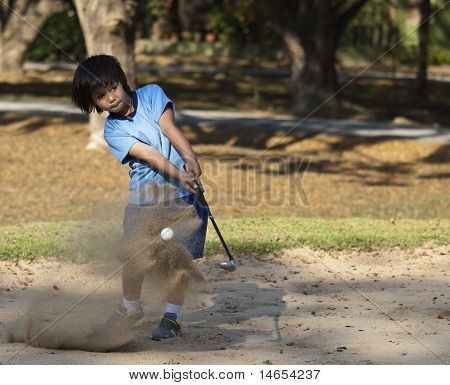 大砂保存，（5 年） 老