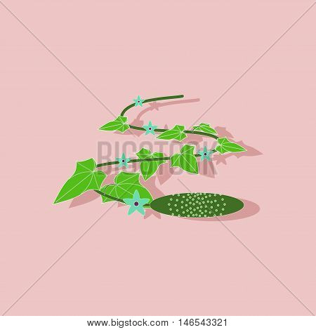 paper sticker on stylish background of plant Cucumis
