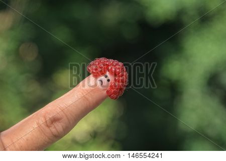 Red raspberry on the thumb with a sad face in front of green nature