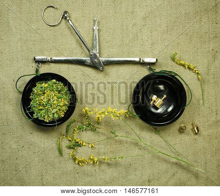 Melilot.Dried herbs for use in alternative medicine.Herbal medicine phytotherapy medicinal herbs.For preparation of infusions decoctions tinctures powders ointments tea.Background green cloth