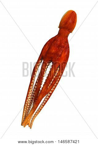 3D rendering of a red octopus isolated on a white background