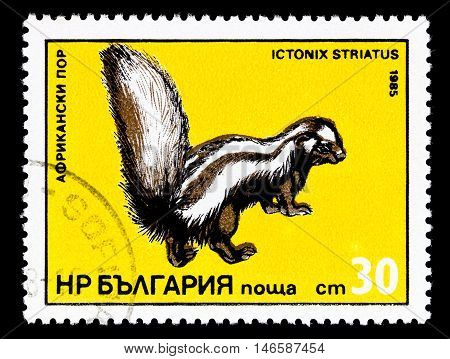 Bulgaria - Circa 1985