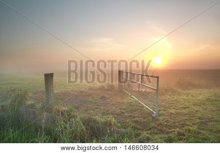 misty sunrise on Dutch farmland Groningen Netherlands