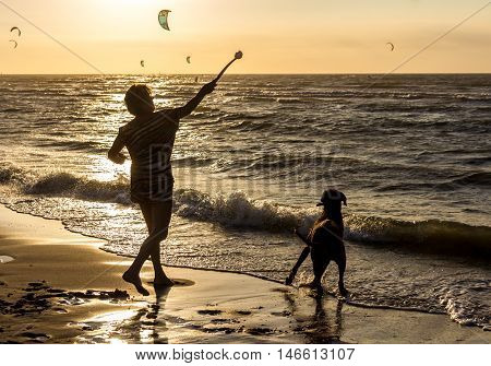 Kijkduin beach the Netherlands - September 08 2016: playing fetch with your dog