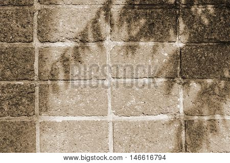Leaf tree shadows on the laterite texture fence