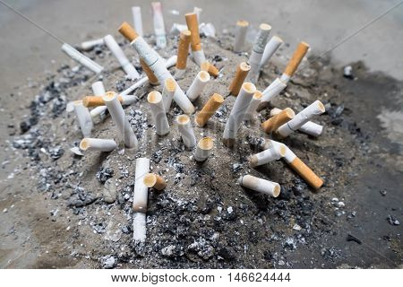 Smoked Cigarettes Butts in sand ashtray bin.Selective focus