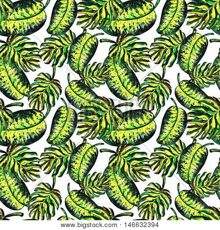 Seamless pattern of leaves monstera. Watercolor sheet