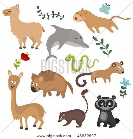 Set of different animals of South America on white background.