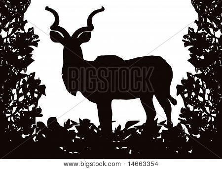 Kudu (koedoe) nell'isolato Bush Frame Vector