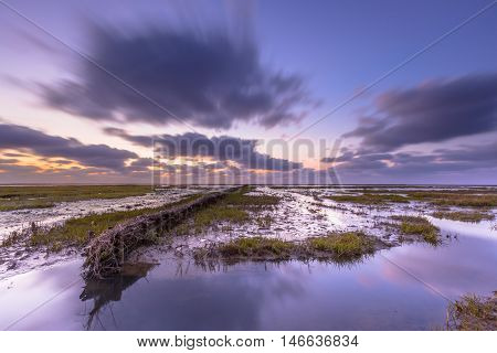 Tidal Marsh