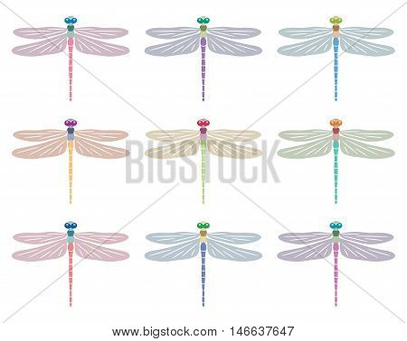 vector abstract dragonfly symbols isolated on white background