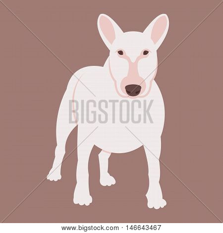 bull terrier dog vector illustration style Flat