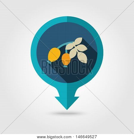 Rosehip branch with red berries flat vector pin map icon. Map pointer. Map markers. Berry fruit. Vector illustration eps 10