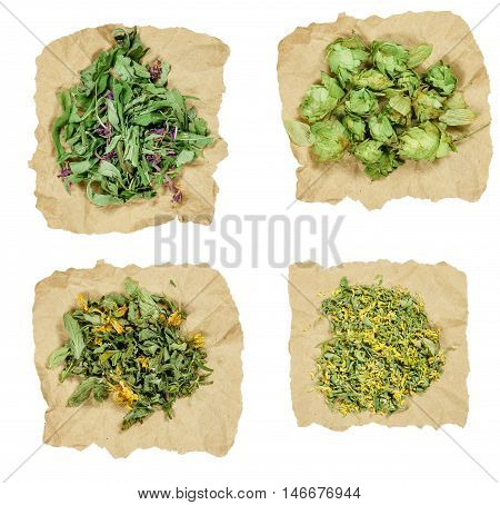 Tutsan fireweed melilot hop. Dried herbs for use in alternative medicine spa herbal cosmetics herbal medicine preparing infusions decoctions tinctures powders ointments butter tea bath.