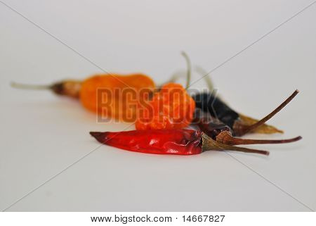 Hot chili