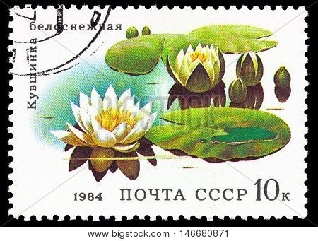 Ussr - Circa 1984