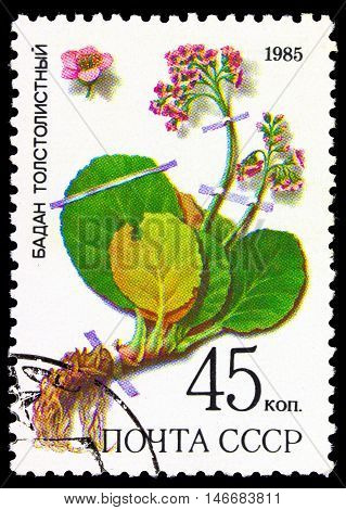 Ussr - Circa 1985