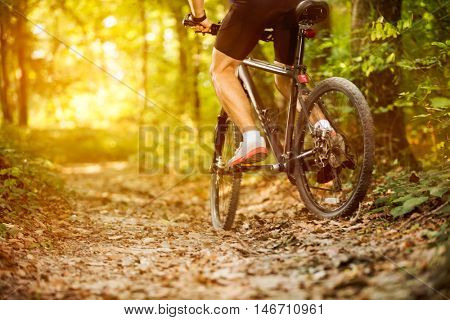 cyclist man riding mountain bike in forest horizontal view of healthy lifestyle